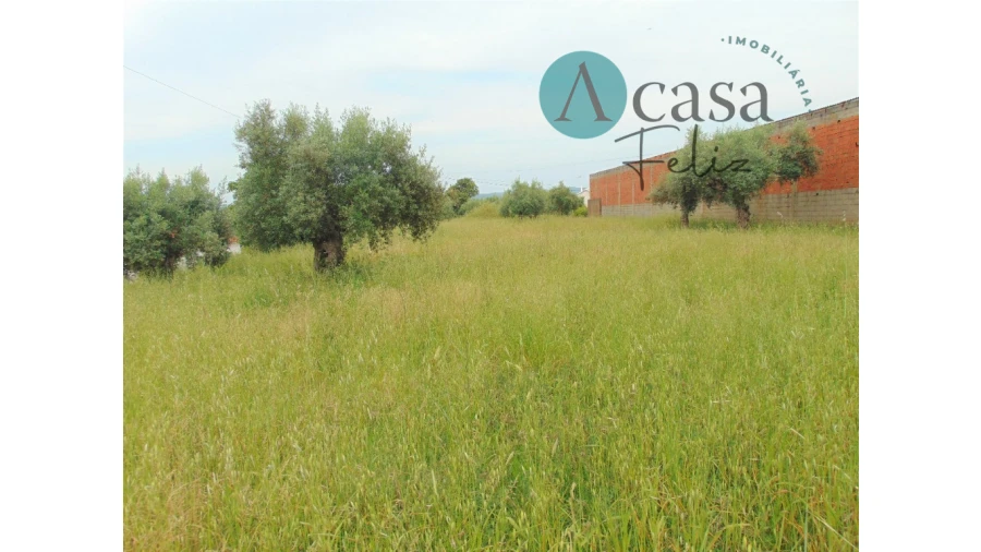 Terreno para Venda em Serra e Junceira Foto 5