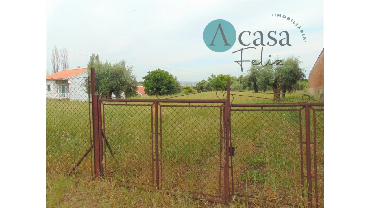 Terreno para Venda em Serra e Junceira Foto 1