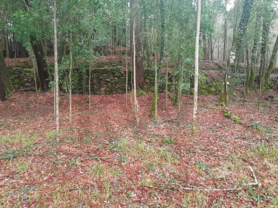 Terreno para Venda em Gondar e Orbacém Foto 6