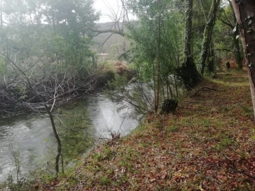 Terreno para Venda em Gondar e Orbacém