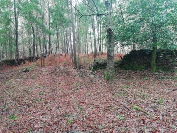 Terreno para Venda em Gondar e Orbacém