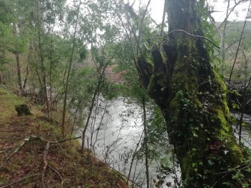 Terreno para Venda em Gondar e Orbacém