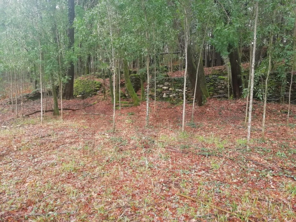 Terreno para Venda em Gondar e Orbacém Foto 5
