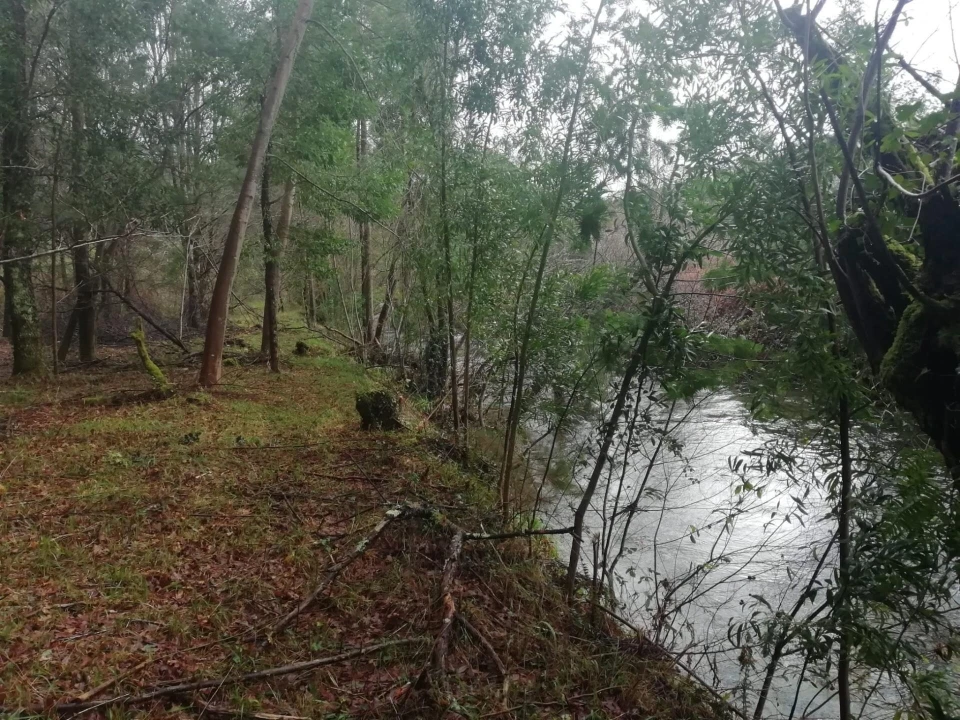 Terreno para Venda em Gondar e Orbacém Foto 2