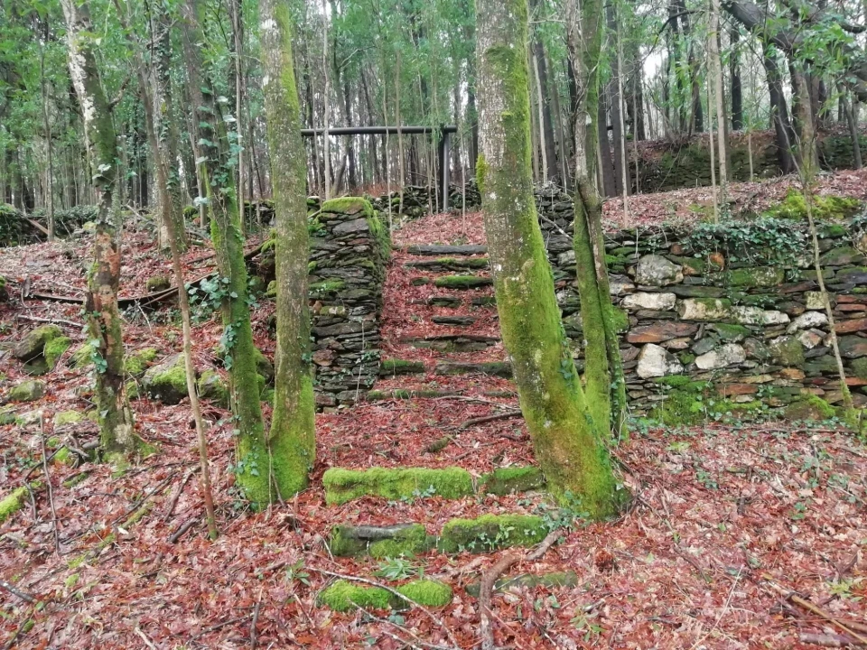 Terreno para Venda em Gondar e Orbacém Foto 3