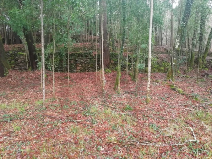Terreno para Venda em Gondar e Orbacém Foto 6