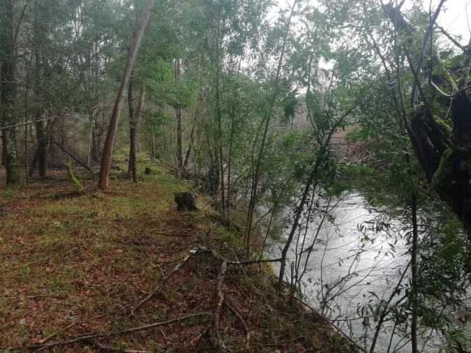 Terreno para Venda em Gondar e Orbacém Foto 2