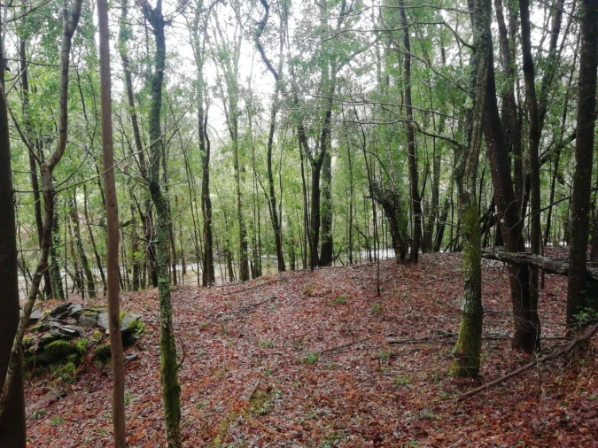 Terreno para Venda em Gondar e Orbacém Foto 21