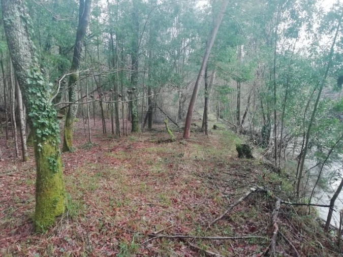Terreno para Venda em Gondar e Orbacém Foto 8