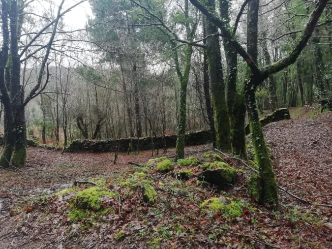 Terreno para Venda em Gondar e Orbacém Foto 26