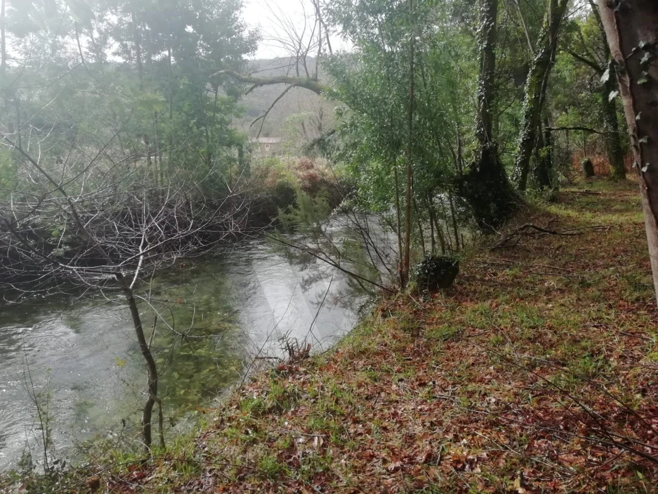 Terreno para Venda em Gondar e Orbacém Foto 1