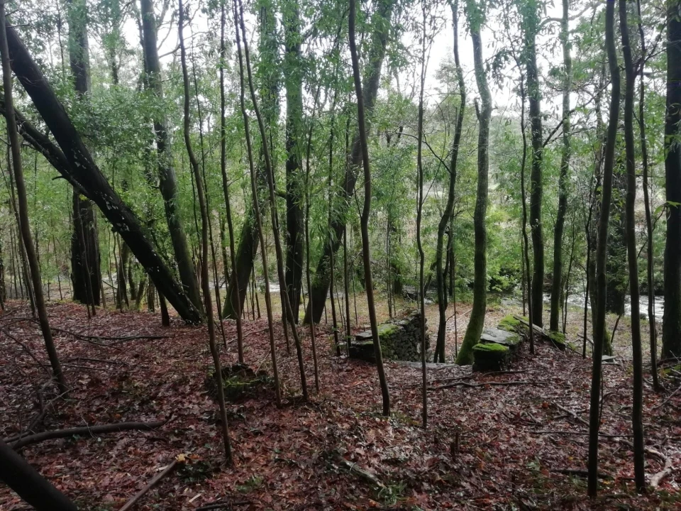 Terreno para Venda em Gondar e Orbacém Foto 15