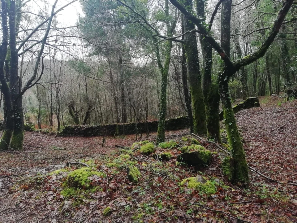 Terreno para Venda em Gondar e Orbacém Foto 26