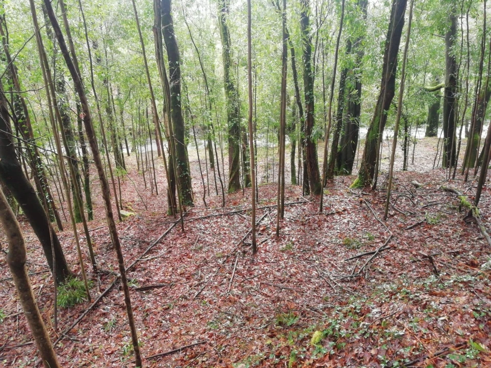 Terreno para Venda em Gondar e Orbacém Foto 20