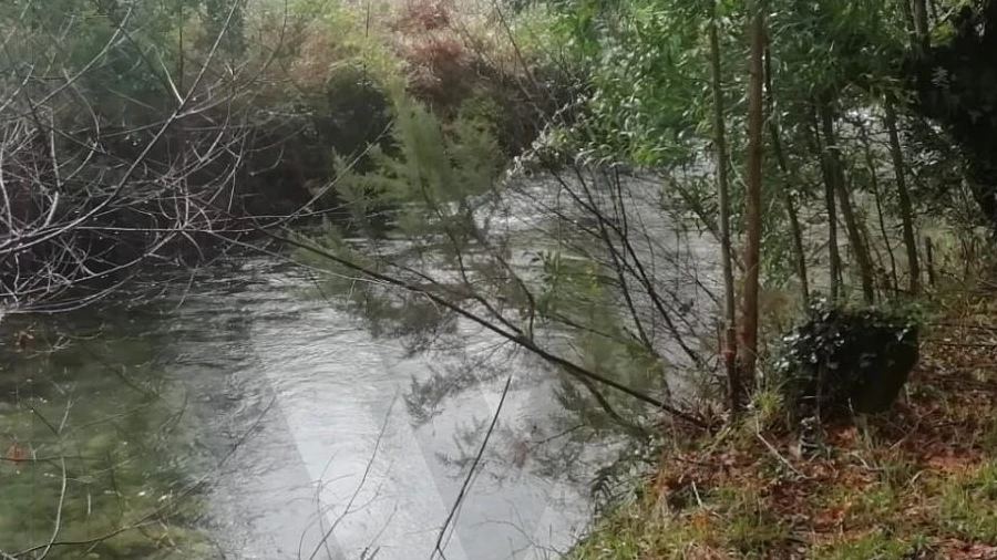 Terreno para Venda em Gondar e Orbacém