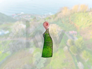 Terreno para Venda em Porto Moniz