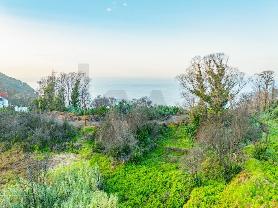 Terreno para Venda em Porto Moniz Foto 1