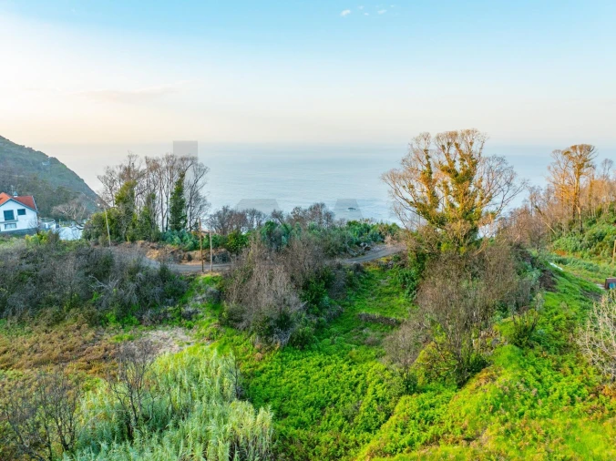 Terreno para Venda em Porto Moniz Foto 7