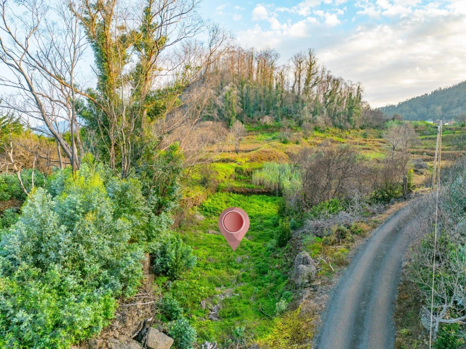 Terreno para Venda em Porto Moniz Foto 6