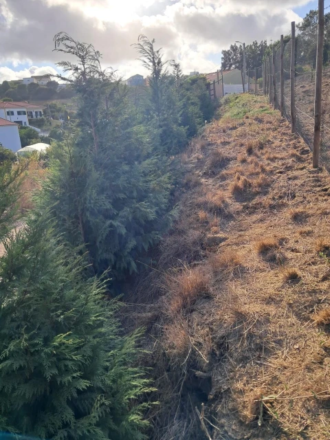 Moradia T4 para Venda em Azueira e Sobral da Abelheira