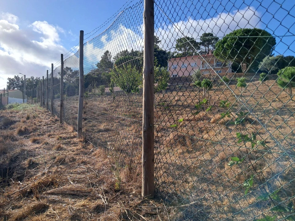 Moradia T4 para Venda em Azueira e Sobral da Abelheira Foto 65