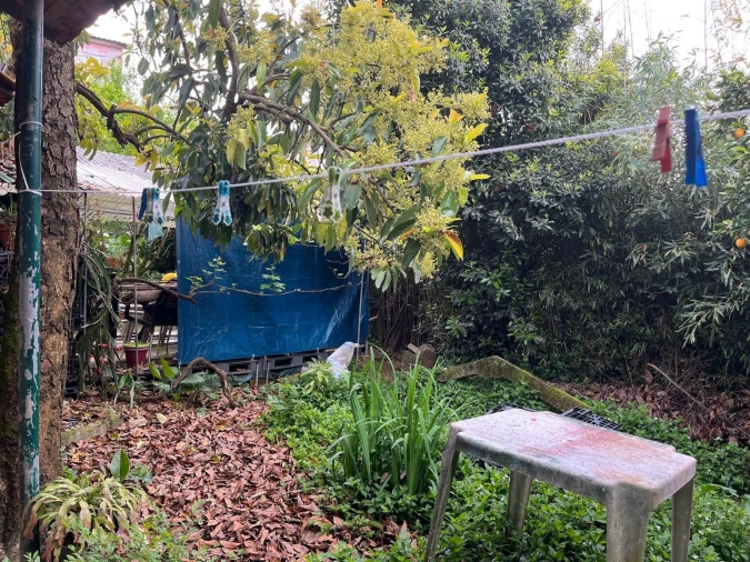 Moradia T2 para Venda em Vila de Cucujães Foto 11