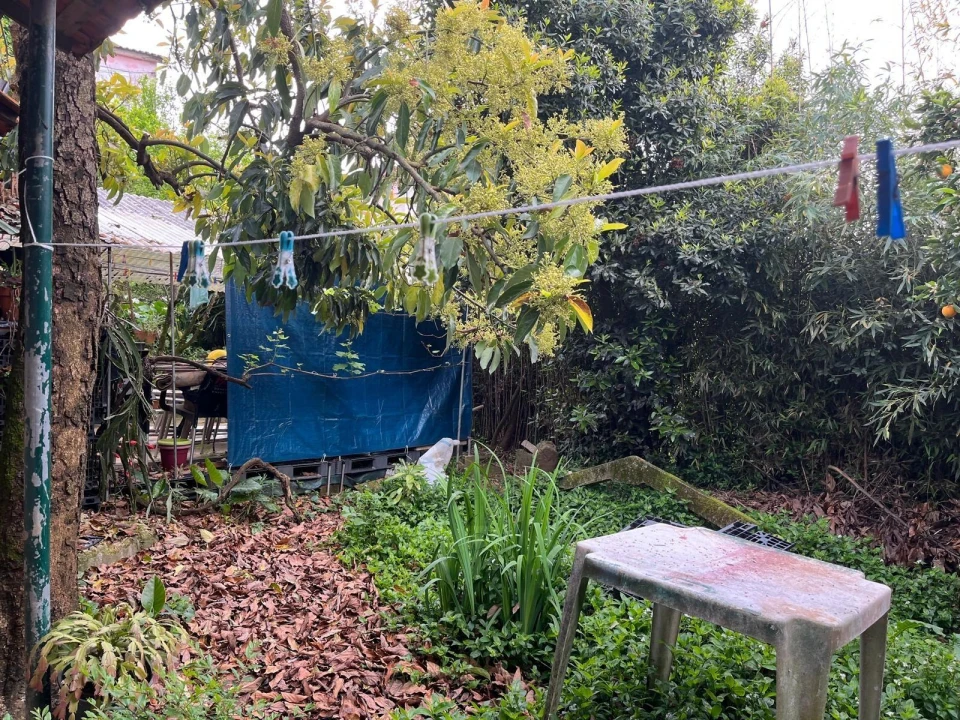 Moradia T2 para Venda em Vila de Cucujães Foto 11