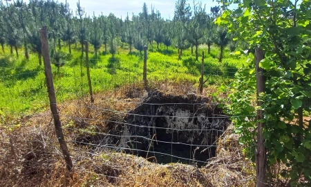 Terreno para Venda em Oliveira do Conde