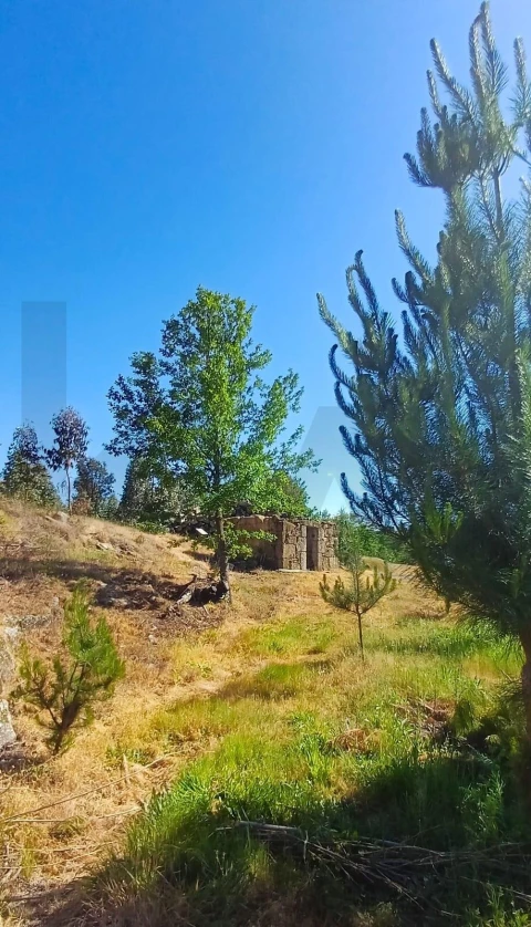 Terreno para Venda em Oliveira do Conde