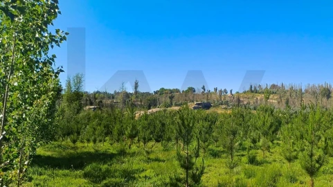 Terreno para Venda em Oliveira do Conde