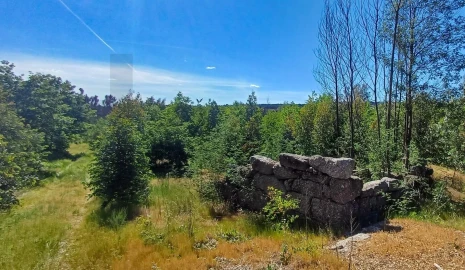 Terreno para Venda em Oliveira do Conde