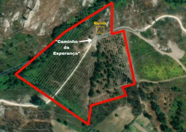 Terreno para Venda em Oliveira do Conde