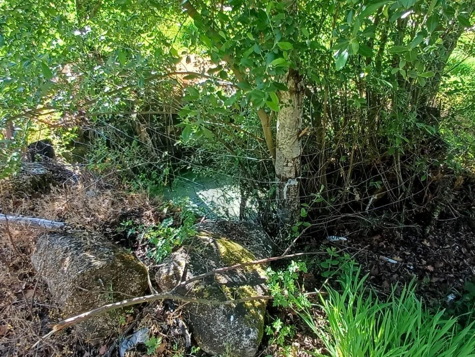Terreno para Venda em Oliveira do Conde Foto 13
