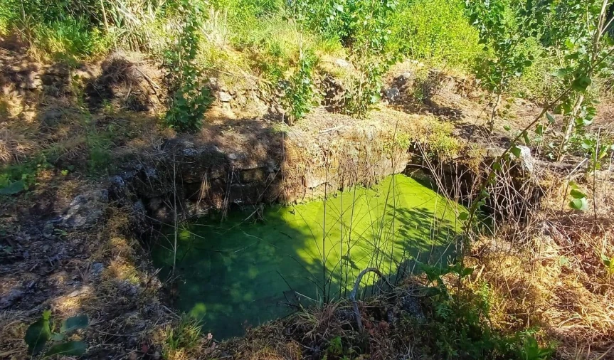 Terreno para Venda em Oliveira do Conde Foto 8