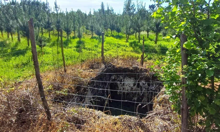 Terreno para Venda em Oliveira do Conde Foto 14