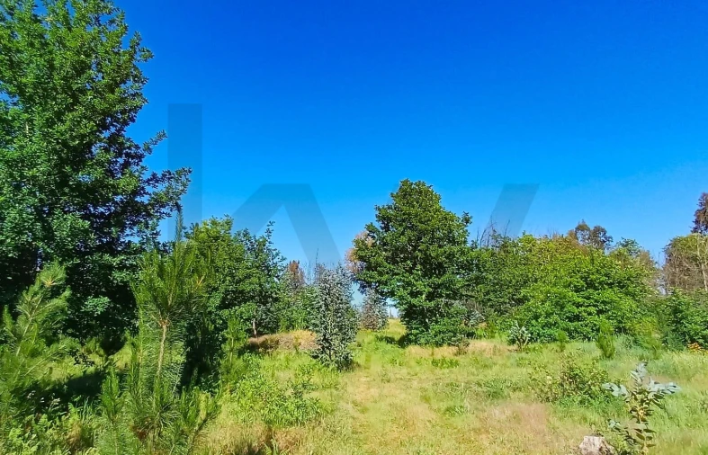 Terreno para Venda em Oliveira do Conde Foto 9