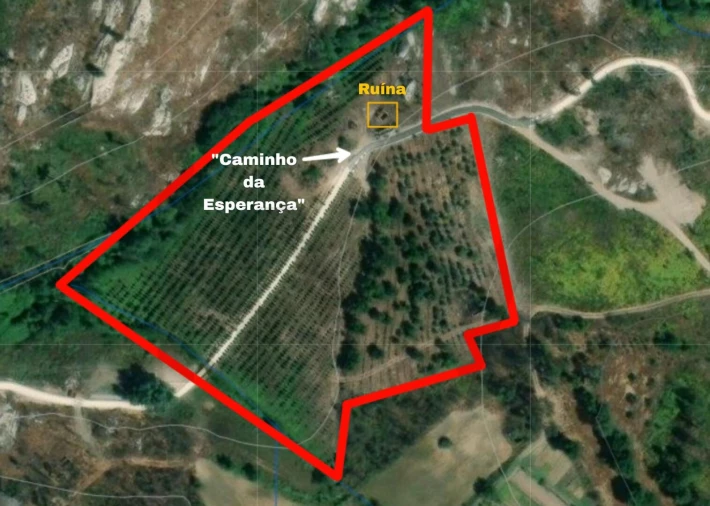 Terreno para Venda em Oliveira do Conde Foto 16