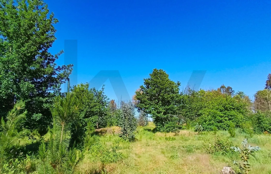 Terreno para Venda em Oliveira do Conde Foto 9