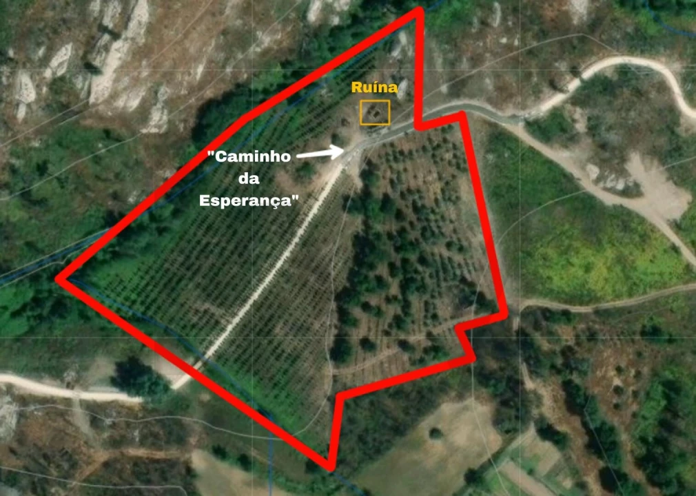 Terreno para Venda em Oliveira do Conde Foto 16