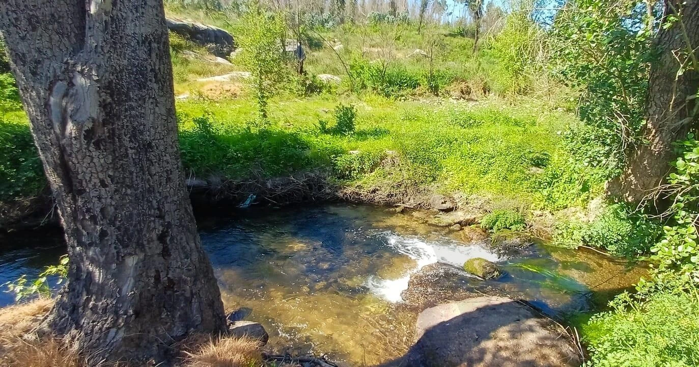 Terreno para Venda em Oliveira do Conde Foto 4