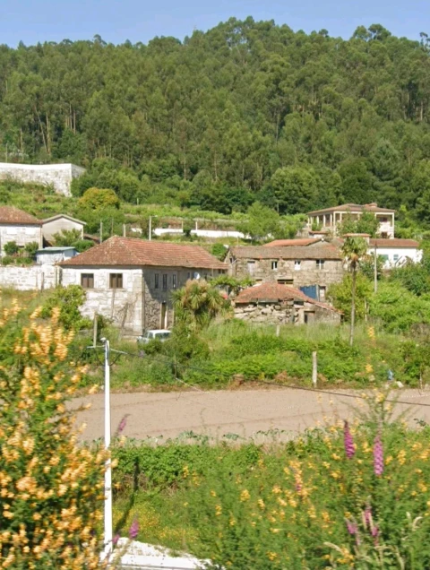 Quinta T5 para Venda em Penafiel
