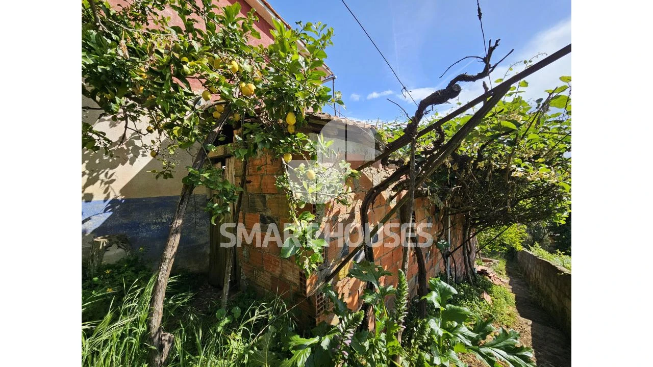 Moradia T4 para Venda em São Martinho da Cortiça Foto 40