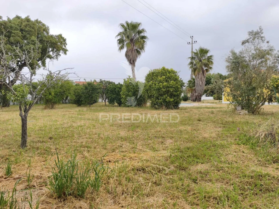 Moradia T3 para Venda em Glória do Ribatejo e Granho Foto 39