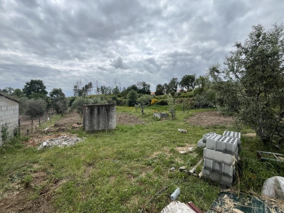 Quinta T0 para Venda em Gonçalo Foto 4