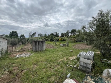 Quinta T0 para Venda em Gonçalo