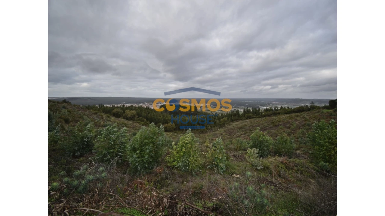 Terreno para Venda em Barrio Foto 1