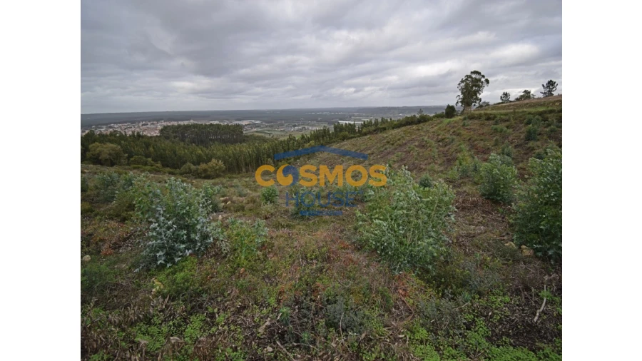 Terreno para Venda em Barrio Foto 5