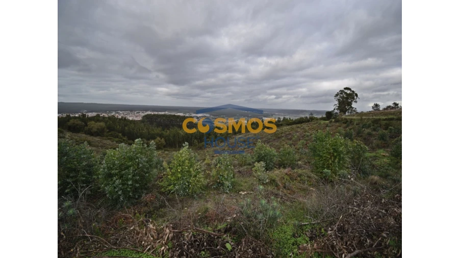 Terreno para Venda em Barrio Foto 4