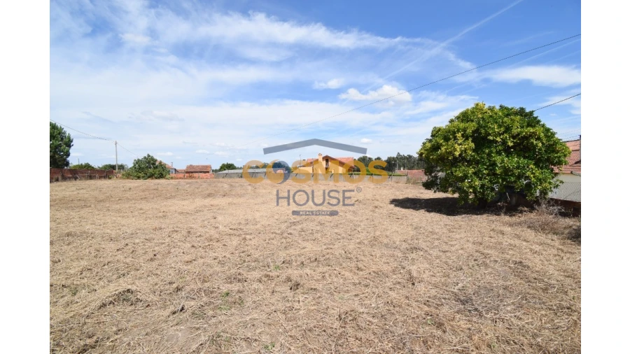 Terreno para Venda em Calvaria de Cima Foto 1