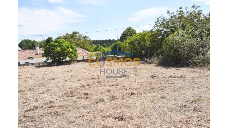 Terreno para Venda em Calvaria de Cima Foto 5